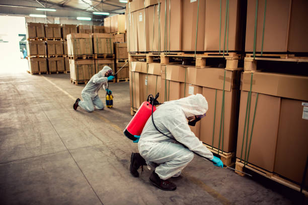 Best Bed Bug Extermination  in Oral City, FL