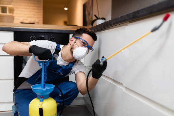 Best Pest Control Near Me in Floral City, FL