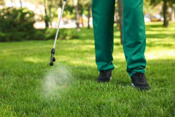Best Local Pest Control Services  in Oral City, FL