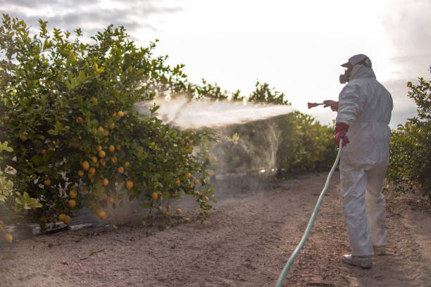 Best Mosquito Control Services  in Oral City, FL