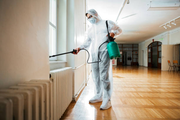 Best Pest Removal Services  in Oral City, FL