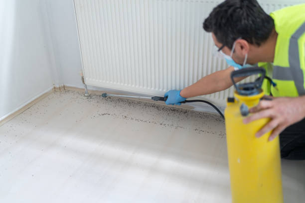 Best Emergency Pest Control  in Oral City, FL
