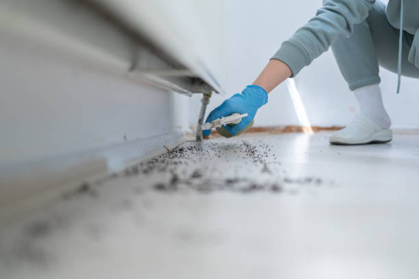 Best Pest Prevention Services  in Oral City, FL