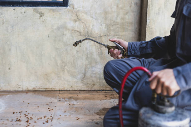 Best Wasp Removal Services  in Oral City, FL