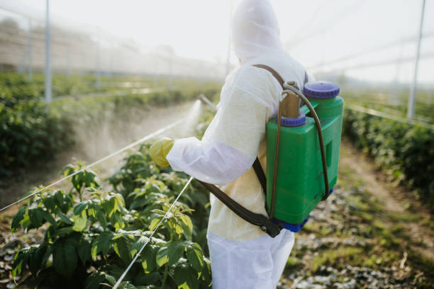 Best Insect Control  in Oral City, FL